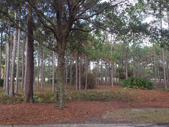 4th image of 3419 Ravenwood Ln