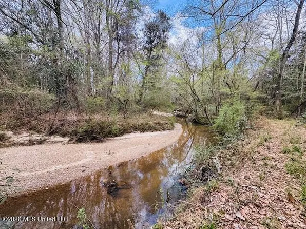 Johnston Station Rd, Summit, MS 39666