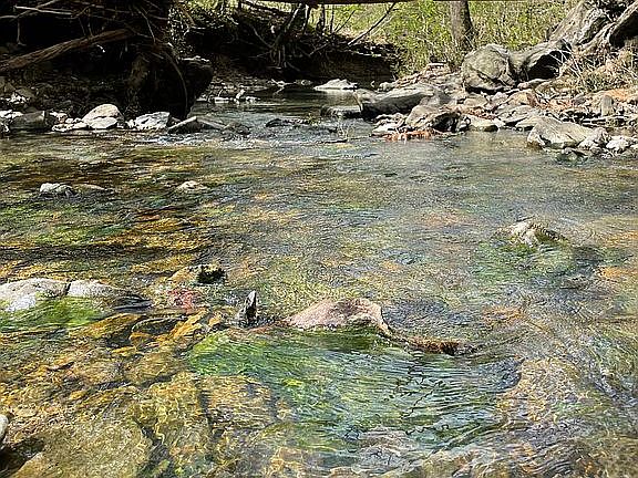 3rd image of 155 Polk Rd 170