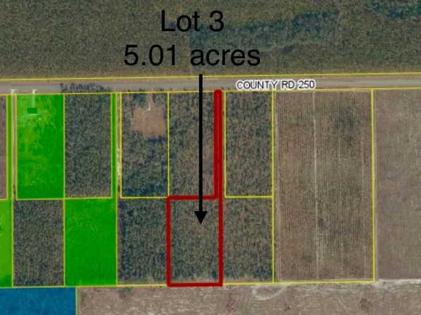 County Road 250 #3, Live Oak, FL 32060
