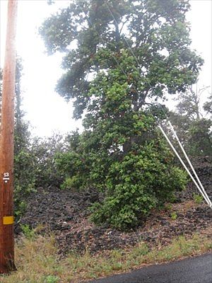 2nd image of Coral Pkwy Lot 36