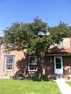 Front view of home