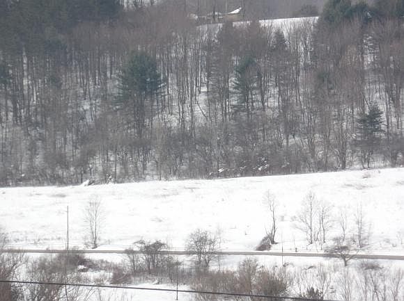 1st image of 65 State Highway 235