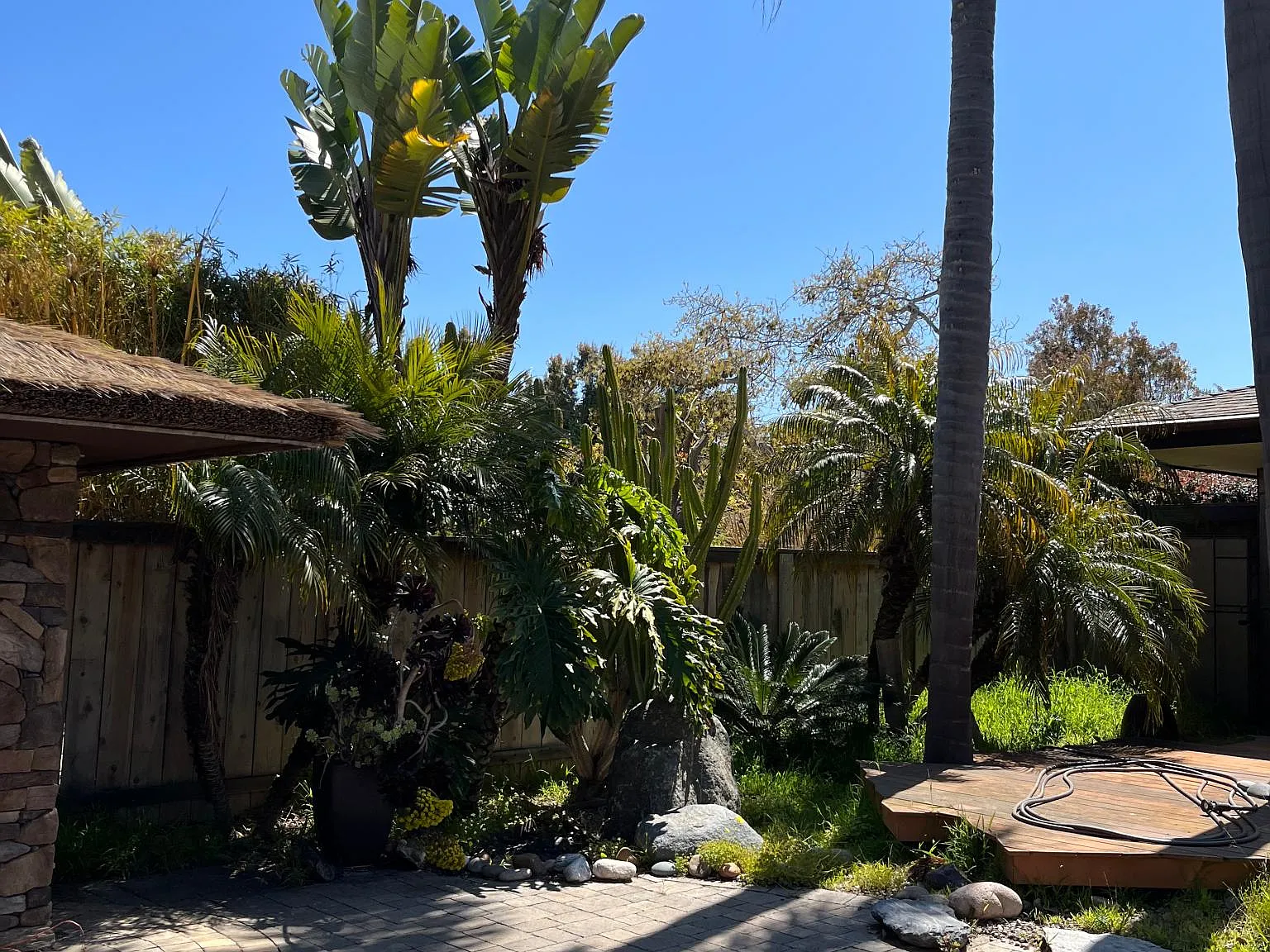 1179 Hymettus Ave — Photo 2