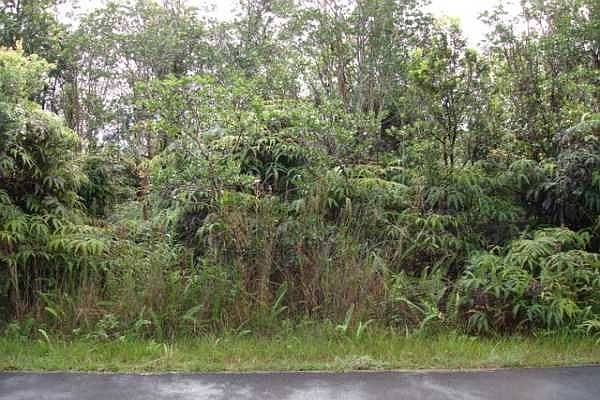 1st image of Maleikai St Lot 20