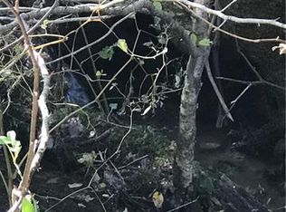 000 Raspberry Ln, Hot Springs, NC 28743