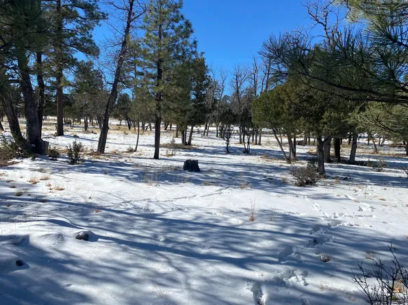 3974 Durango Dr, Happy Jack, AZ 86024