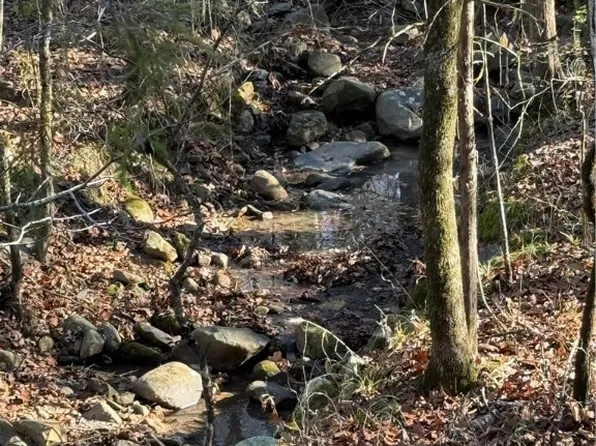 Nebo Acres Road 5 #3-4-6, Dardanelle, AR 72834