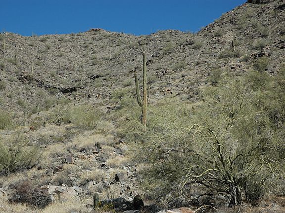5th image of 21694 W Mountain Cove Pl