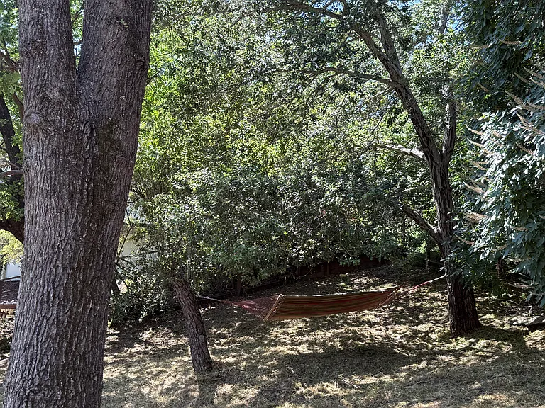 Hammock!