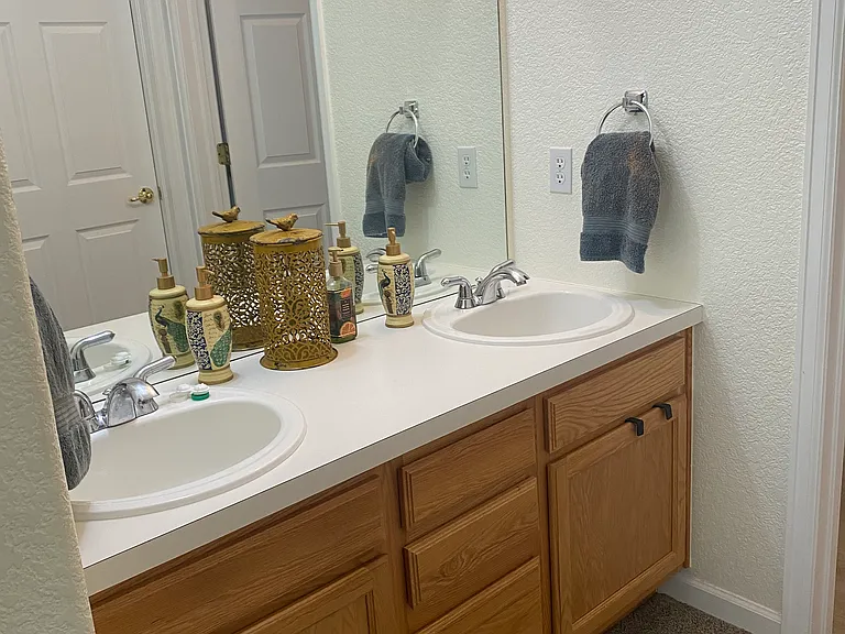Master powder room