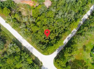 7431 Bitternut Ave #5, Webster, FL 33597