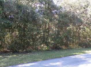 4164 N Forest Lake Dr, Hernando, FL 34442