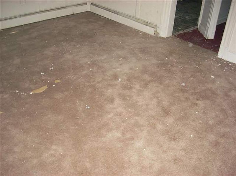 5th image of 1232 STATE Street