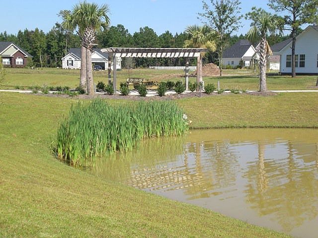 View from rear porch