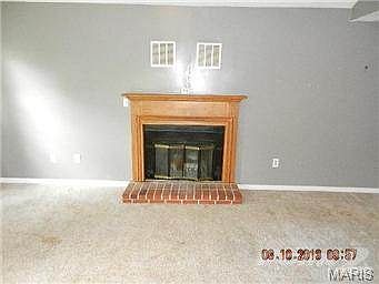 Wood burning fireplace