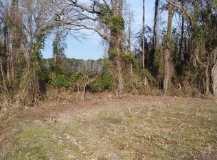 0 Doctors Creek Rd, Willard, NC 28478