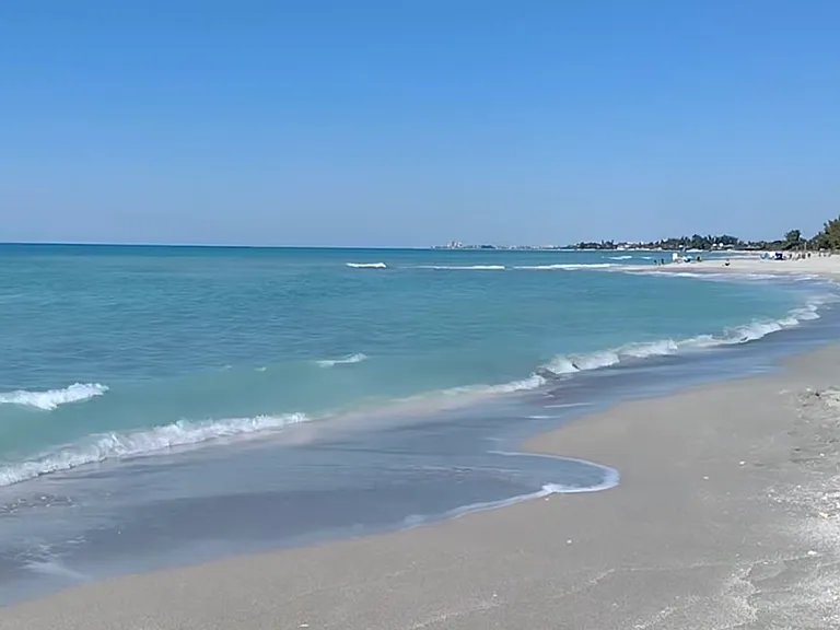 S Moonmist Court Siesta Key Fl 34242 — Photo 8