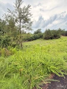 15 Davidson Rd, Reform, AL, 35481