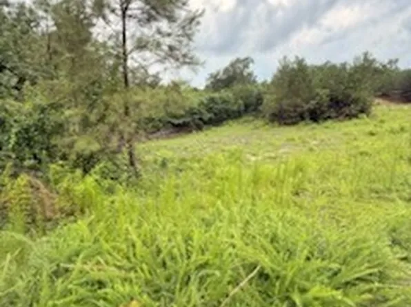 15 Davidson Rd, Reform, AL 35481