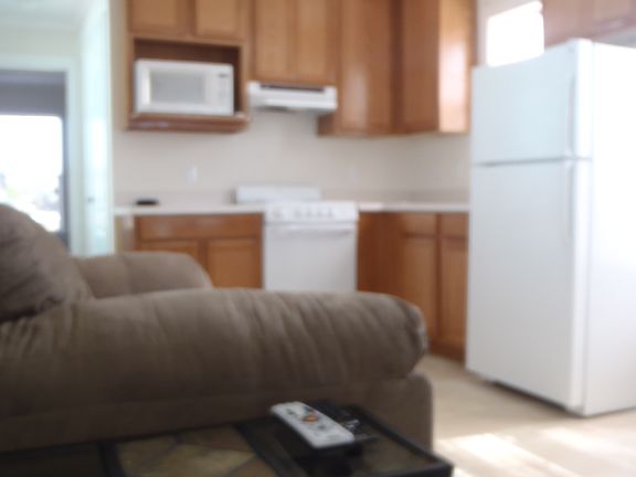 kitchen & living room