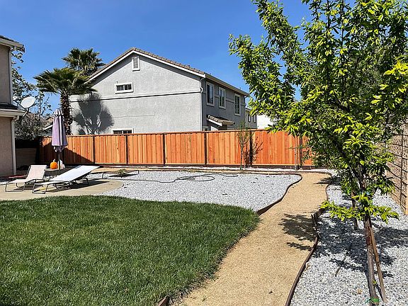 New fence and fruit trees