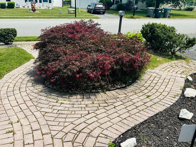 111 Diminish Dr — Photo 3