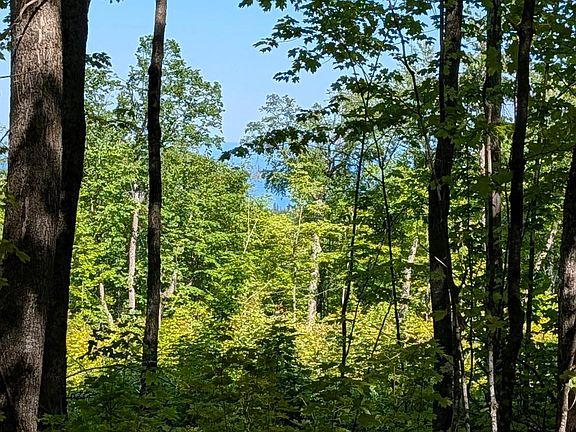 2nd image of 5030 Mount Rockwood Rd
