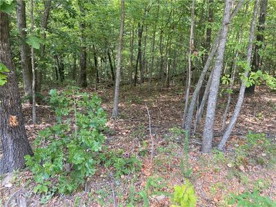 Ingleborough Dr #3, Bella Vista, AR, 72715