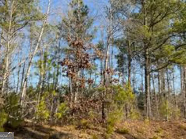 Steadman Rd, Tallapoosa, GA 30176