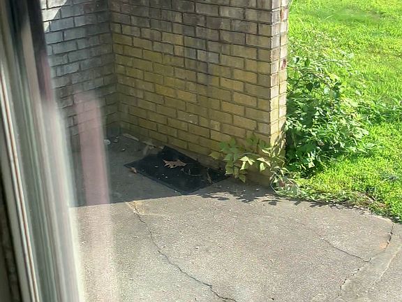 Patio also includes private area