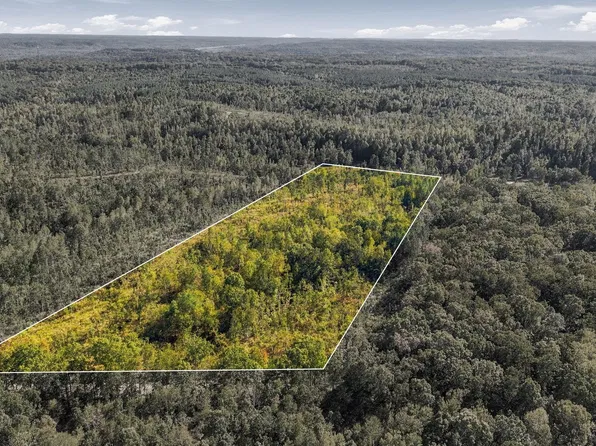 0 Birdsong Rd Lot 1, Holladay, TN 38341