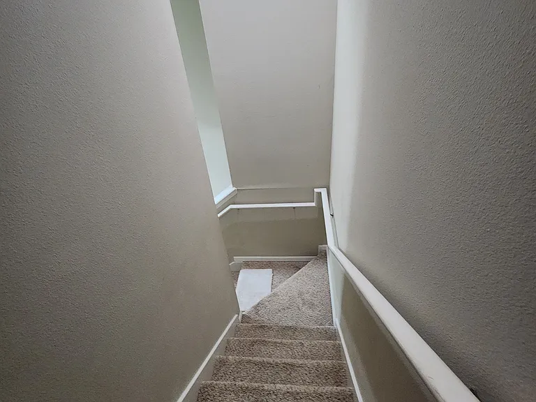 381 White Dogwood Ln — Photo 6