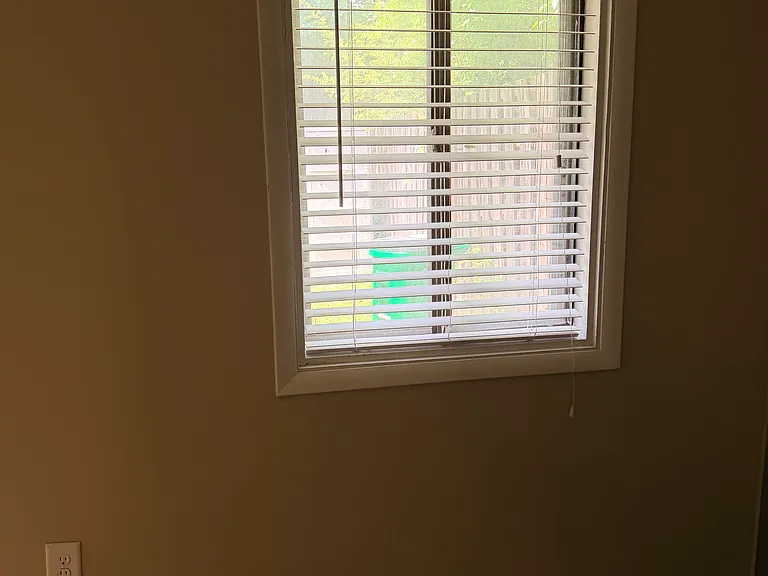 Basement window