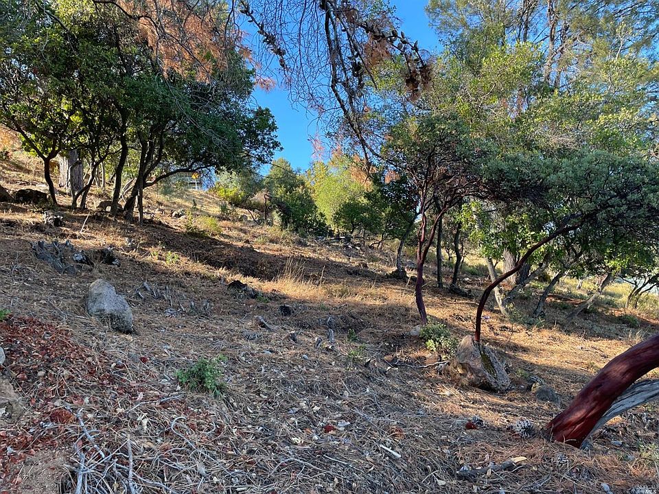 2nd image of 3385 Pine Terrace Dr