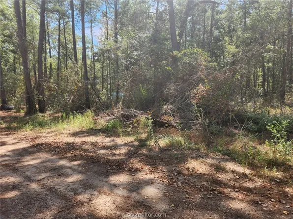 LOT 25 Yellow Poplar, Plantersville, TX 77363