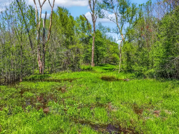 0 Fm 196, Deport, TX 75435