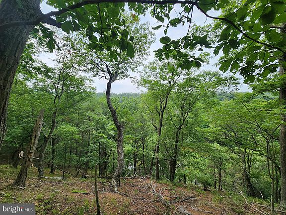 2nd image of Harnest Hills Lot 5
