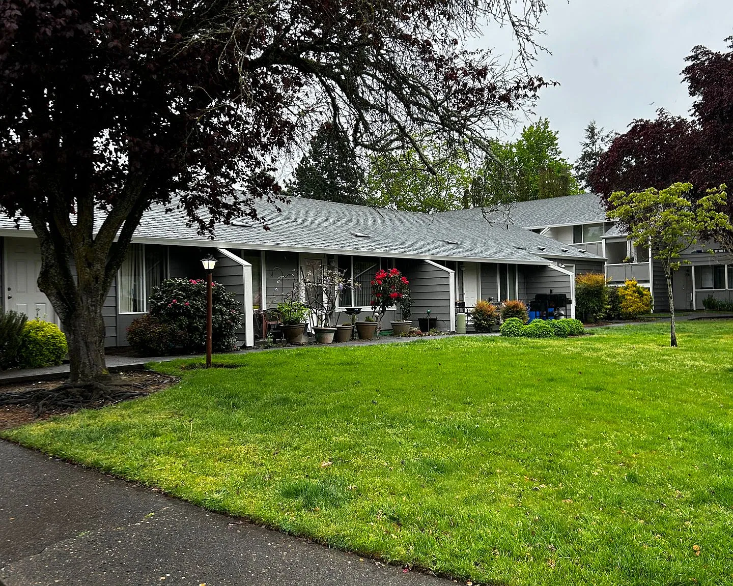 Madrona Apartments, LLC — Photo 3