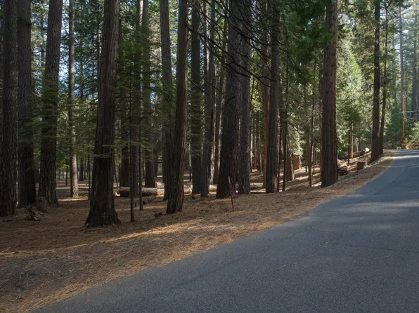 2347 Murphys Dr, Arnold, CA 95223