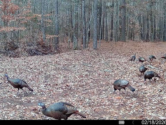 4th image of 5440 Old Milton Rd