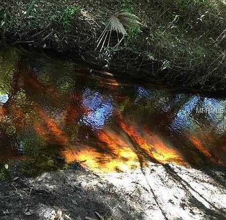 5th image of N Carolina Run