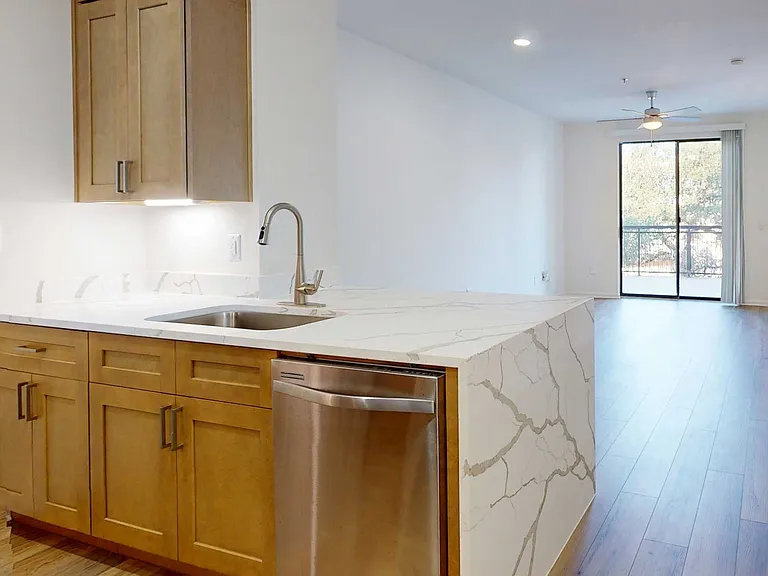 Residences at the Domain — Photo 10