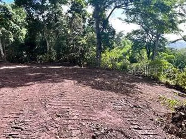 Bo Damian Abajo, Orocovis, PR 00720