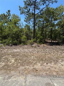 9898 N Lathyrus Ter #18, Dunnellon, FL, 34433