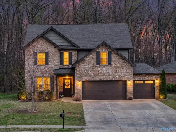 381 Willow Bank Cir, Decatur, AL 35603