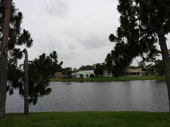 pond view