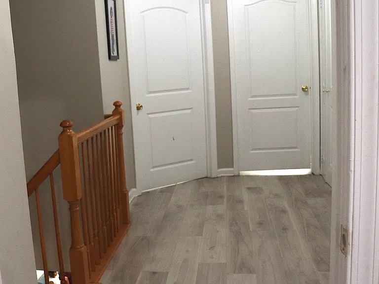 1509 Pisaniello Ct — Photo 12