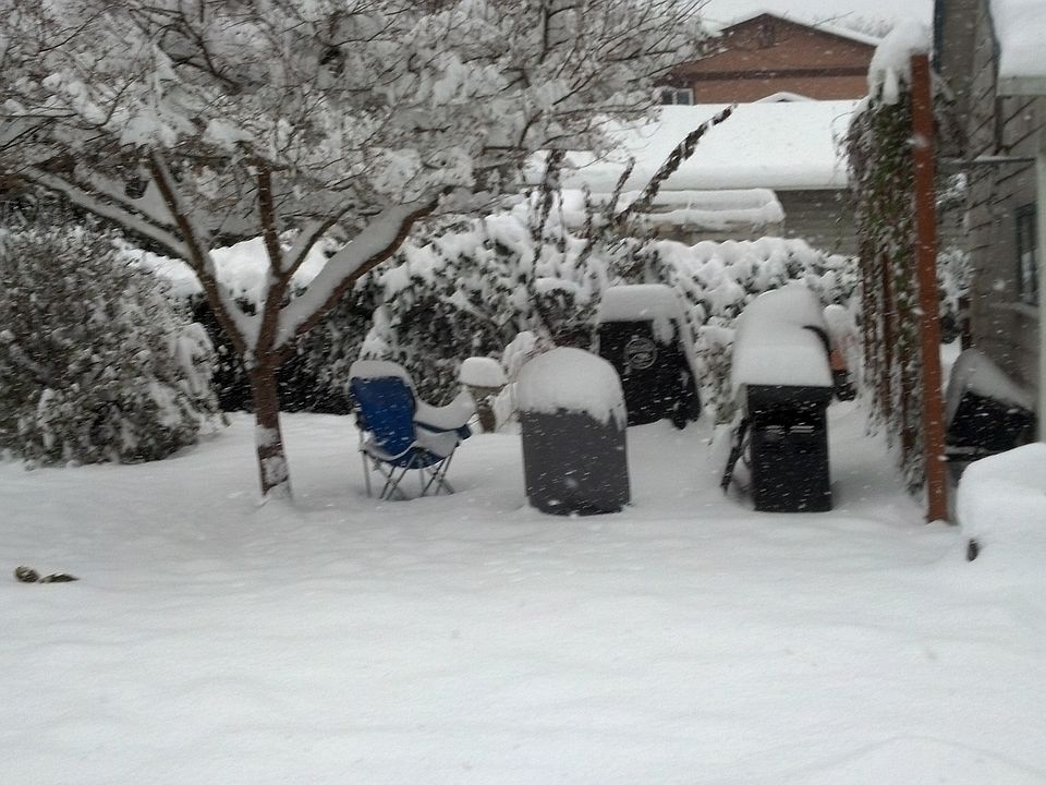 winter view of backyard