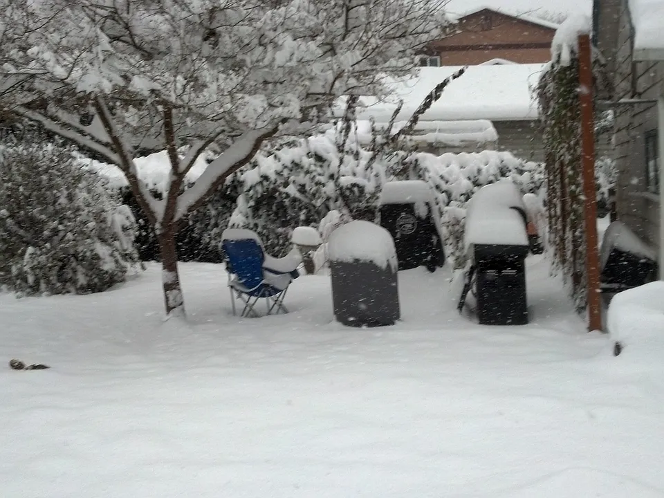 winter view of backyard